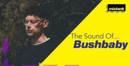 Mixtank.tv The Sound Of Bushbaby TUTORiAL